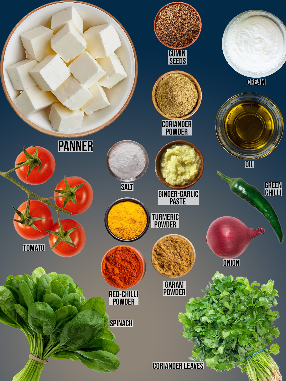 Palak Paneer Recipe ingredients