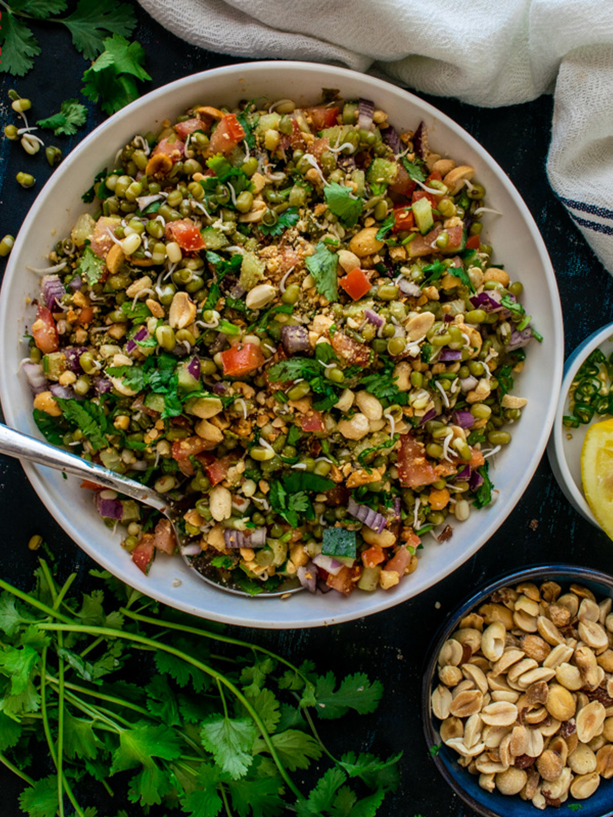 Sprouted Moong Salad