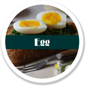 Egg